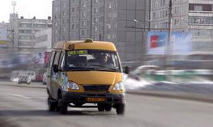 В Петербурге устроили облаву на маршрутные такси