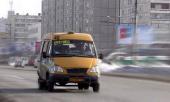 В Петербурге вновь началась охота на маршрутные такси