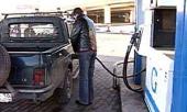 С начала года бензин в РФ подешевел на 11%