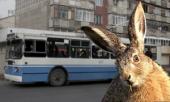 В Москве прошла первая массовая облава на «зайцев»