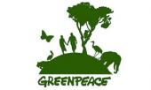 Greenpeace проиграл дело против «Автодора»