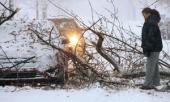 На московских улицах повалены 4500 деревьев