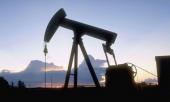 Нефтяники будут отвечать за высокие цены на бензин перед судом