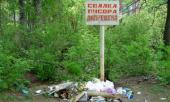 Водителей, выбрасывавших мусор из окон, оштрафовали на 2 млн рублей